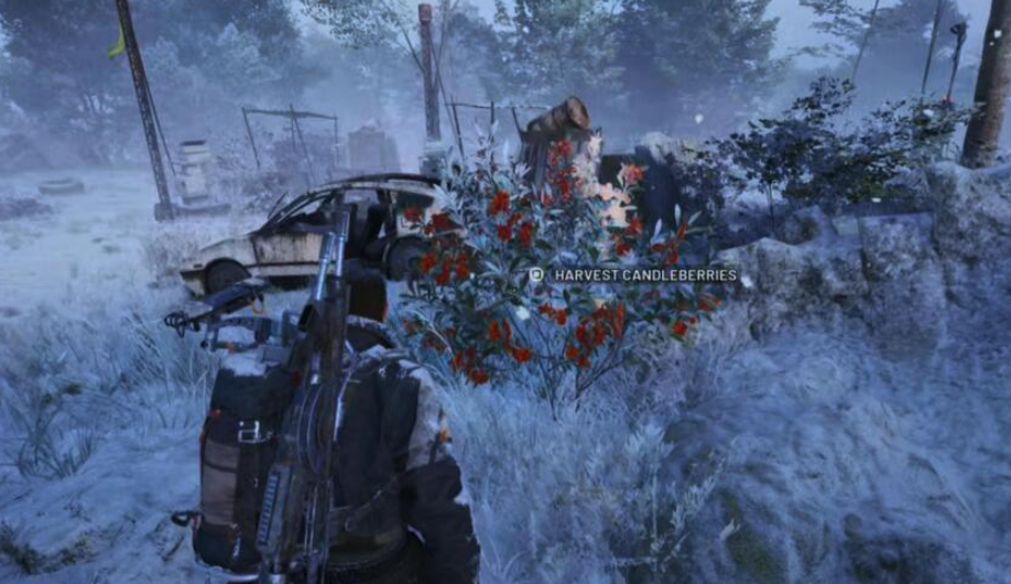 アークレイダーズとすべてのちらつく炎のアイテムでキャンドルベリーを見つける場所