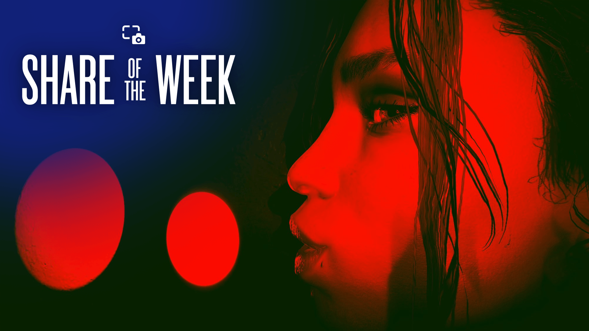 今週のシェア:フィルター