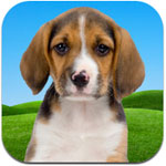 子犬のパルーザのニュース、ガイド、ウォークスルー、スクリーンショット、レビュー