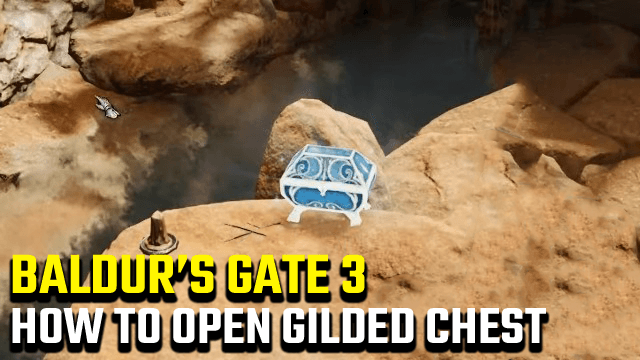 Baldur's Gate 3金色の胸