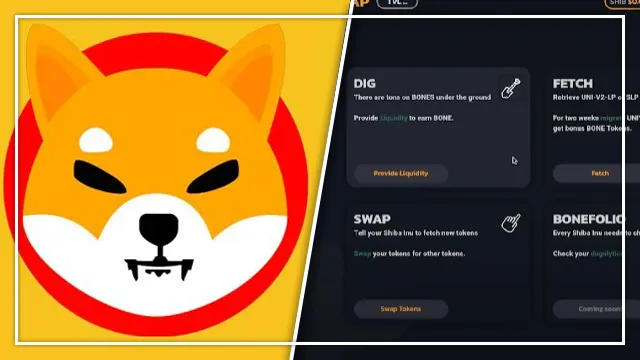 Shiba Swapの起動日:新しいポータルのリリースはいつですか?