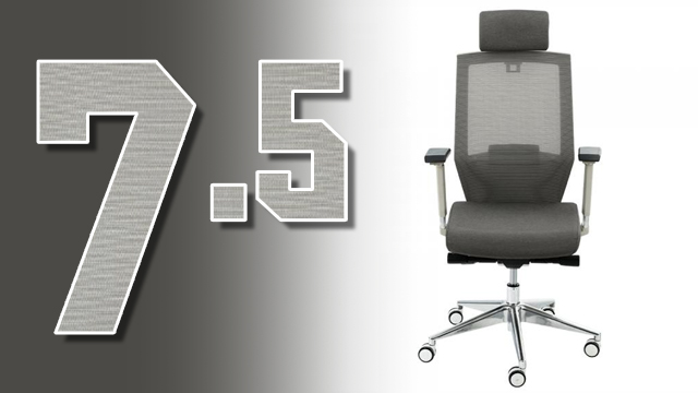 Flexispot BS10バックサポートオフィスチェアレビュー：「間違いなく快適な椅子」